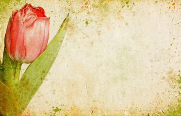 Grunge retro background with tulips and copy space