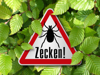 Zecken!