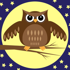 Owl at Night