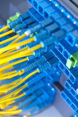 fiber Network Server