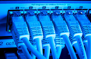 Fototapeta premium network cables