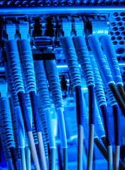 Fototapeta premium network cables