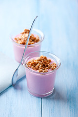 Bilberry Yogurt with Granola