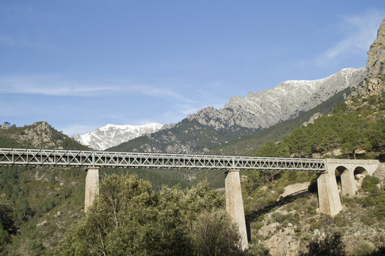 pont de voix ferree corse (region de venaco)