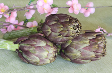 Obraz premium fresh artichokes