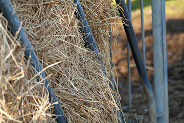 Haystacks at the agricultural farm