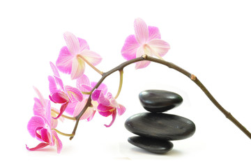 Obraz na płótnie Canvas Orchidee i zen