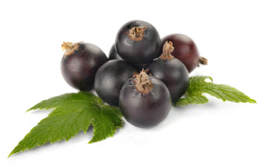 black currants with leaves