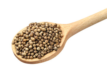 Coriander on the spoon