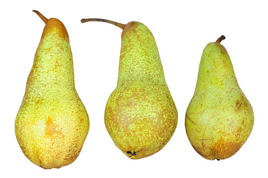 Three pears isolated on white