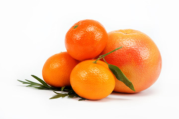 Tropical fruits on a white background.