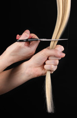 Shiny blond hair in hairdresser's hands isolated on black