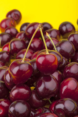 Studioaufnahme von frisch gepflückten Kirschen