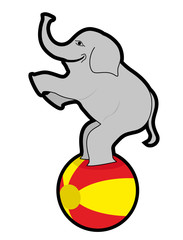 Animal de circo