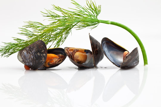Miesmuscheln