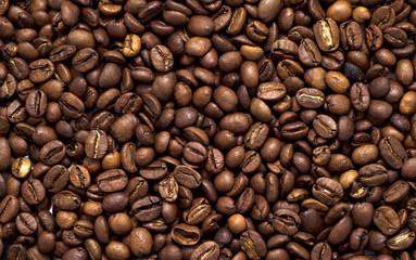 Fototapeta premium coffee