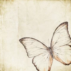 Papier Peint photo Papillons en grunge fond rétro