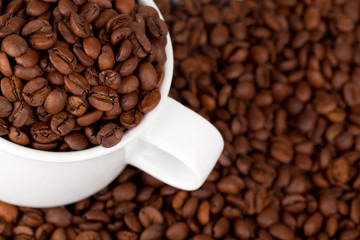 Cup of coffee on coffee beans