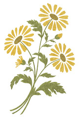 Daisies made of the mohair wool