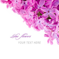 Lilac flowers with sample text