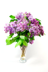 Spring flowers lilac