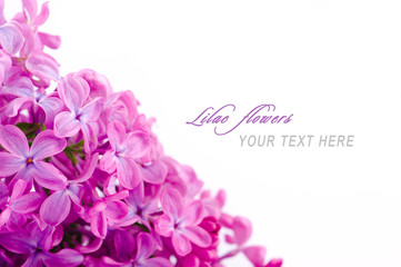 Lilac flowers with sample text