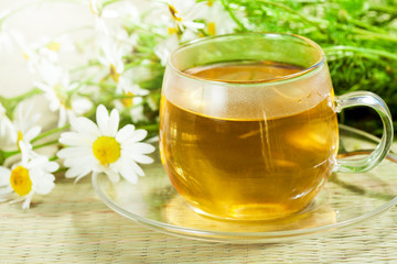 Flowers camomile (ox-eye daisy) and tea