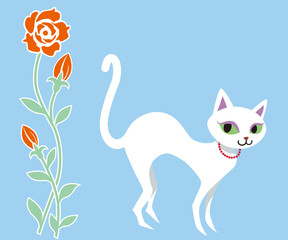 White cat