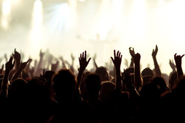 Fototapeta premium cheering concert crowd