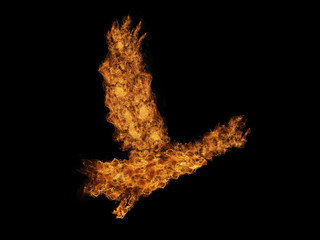 aigle en feu