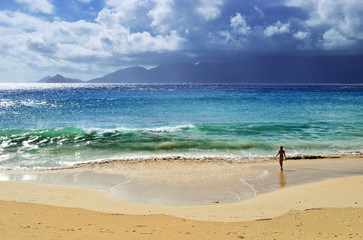 Tropical beach on Seychelles island