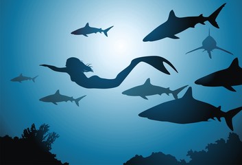 De zeemeermin en haaien
