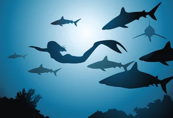 Foto op Plexiglas Zeemeermin De zeemeermin en haaien