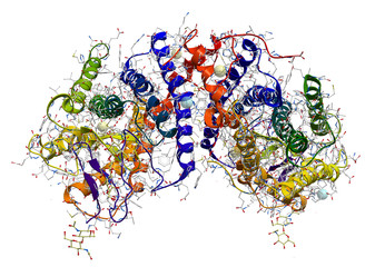 Rhodopsin (pigment involved in vision) protein structure - obrazy, fototapety, plakaty