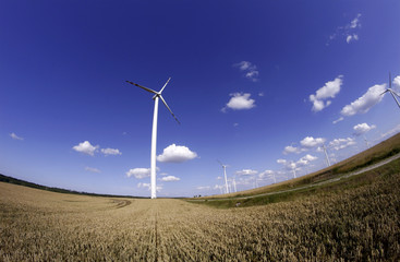 Pejzaż z turbinami elektrowni wiatrowej 3 - obrazy, fototapety, plakaty