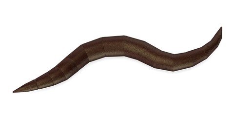 3d render of worm insect
