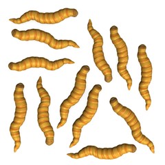 3d render of worm insects