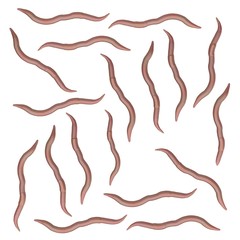 3d render of worm insects