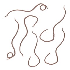 3d render of worm insects