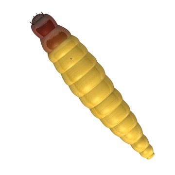 3d render of worm insect
