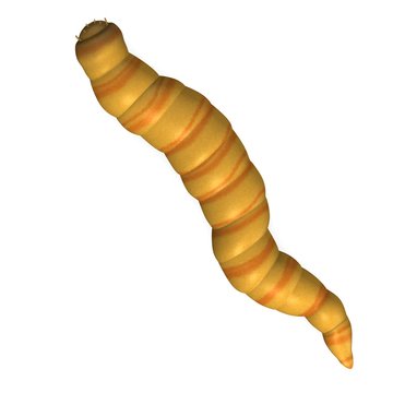 3d render of worm insect