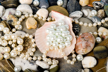Fototapeta premium Beautiful exotic shell and stones, pearls