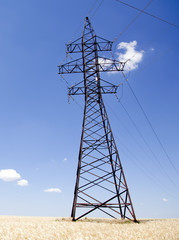 Electrical net of poles on a panorama of blue sky and wheat fiel