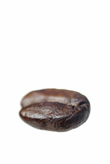 One Arabica Coffee Bean on White Background.