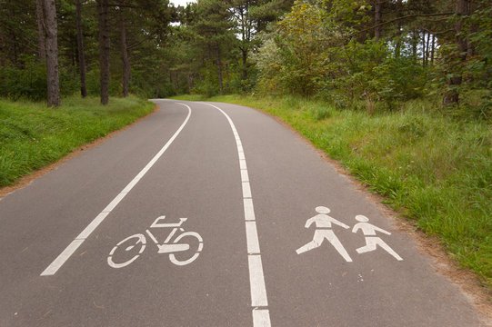 Bicycle and walking lane in forest. Outdoor sport, fitness