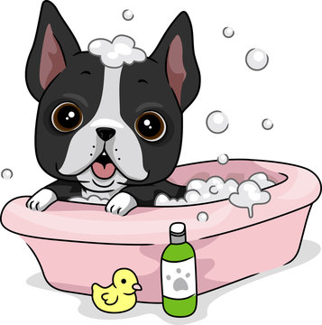 Dog Bath