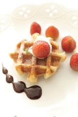 Strawberry on waffle with chocolate sauce