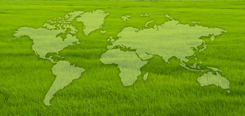 World map on grass field.