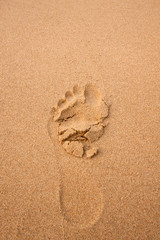 Fototapeta na wymiar Sand with trail of people texture