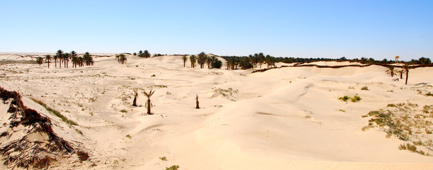panoramique sahara